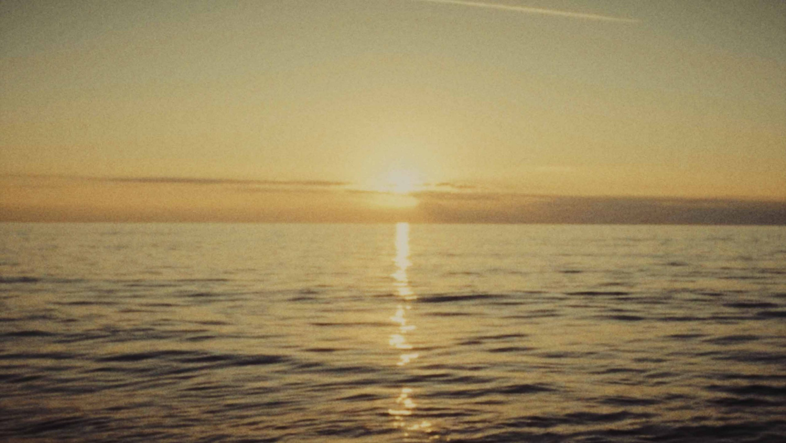 Still 3